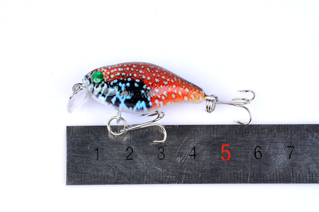 Fishing Tackle: 6x 4.3cm Popper Crank Bait Fishing Lure Lures Surface Tackle Saltwater