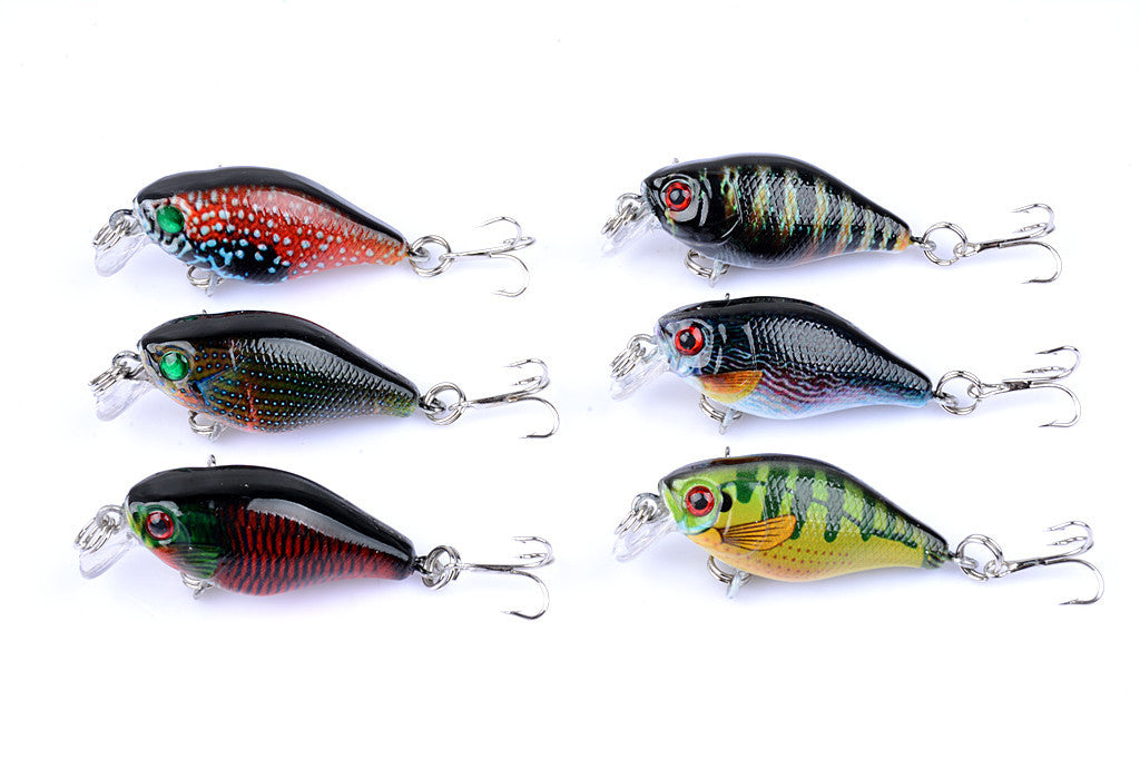 Fishing Tackle: 6x 4.3cm Popper Crank Bait Fishing Lure Lures Surface Tackle Saltwater