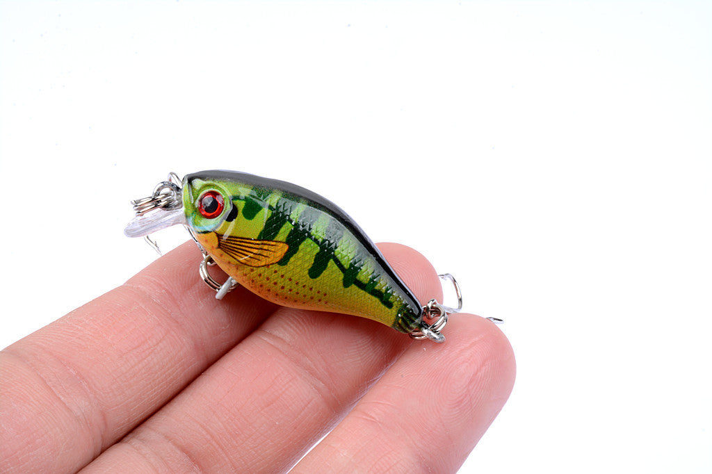 Fishing Tackle: 6x 4.3cm Popper Crank Bait Fishing Lure Lures Surface Tackle Saltwater