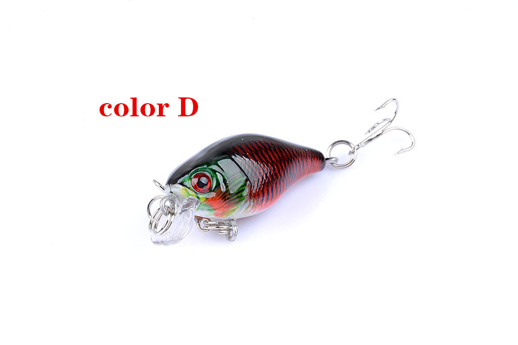 Fishing Tackle: 6x 4.3cm Popper Crank Bait Fishing Lure Lures Surface Tackle Saltwater