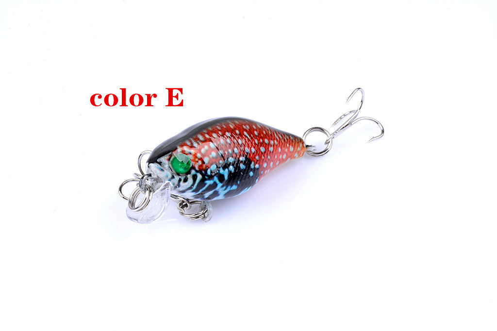 Fishing Tackle: 6x 4.3cm Popper Crank Bait Fishing Lure Lures Surface Tackle Saltwater