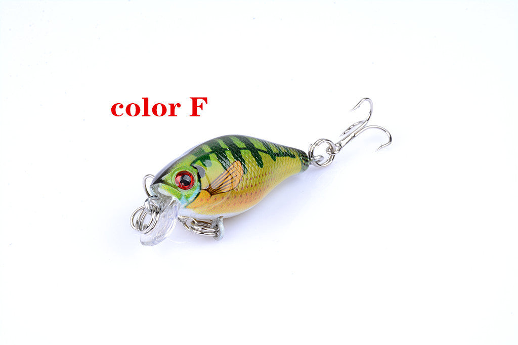Fishing Tackle: 6x 4.3cm Popper Crank Bait Fishing Lure Lures Surface Tackle Saltwater