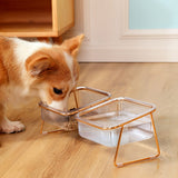 Dog Bowls, Feeders & Waterers: Pet Dog Cat Puppy Food Water Bowls Feeding Dishes 2 Large Bowl Dishwasher Safe
