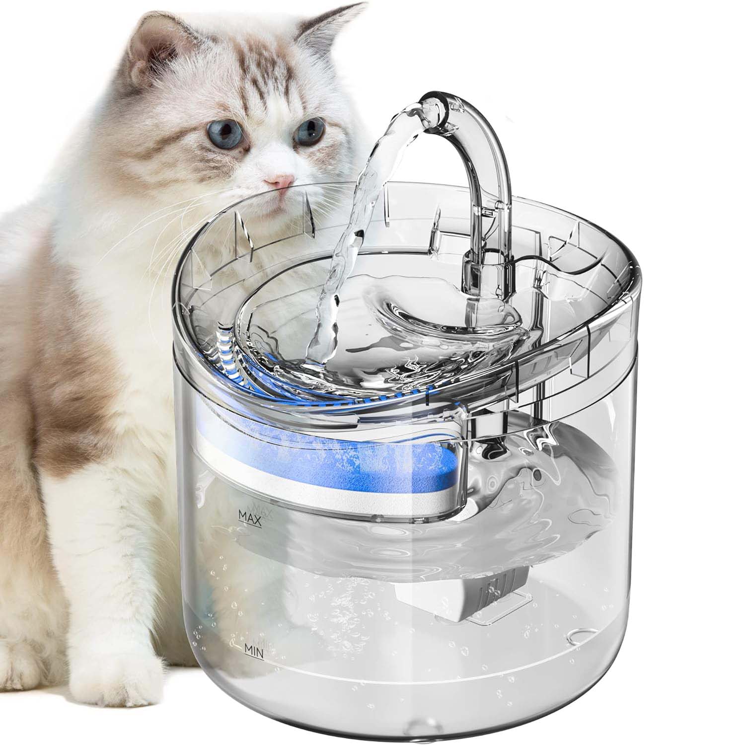 Cat Bowls, Feeders & Waterers: Cat Dog Water Fountain Pet Water Dispenser 1.8L Automatic Drinking Fountain for Cats Kitty Indoor