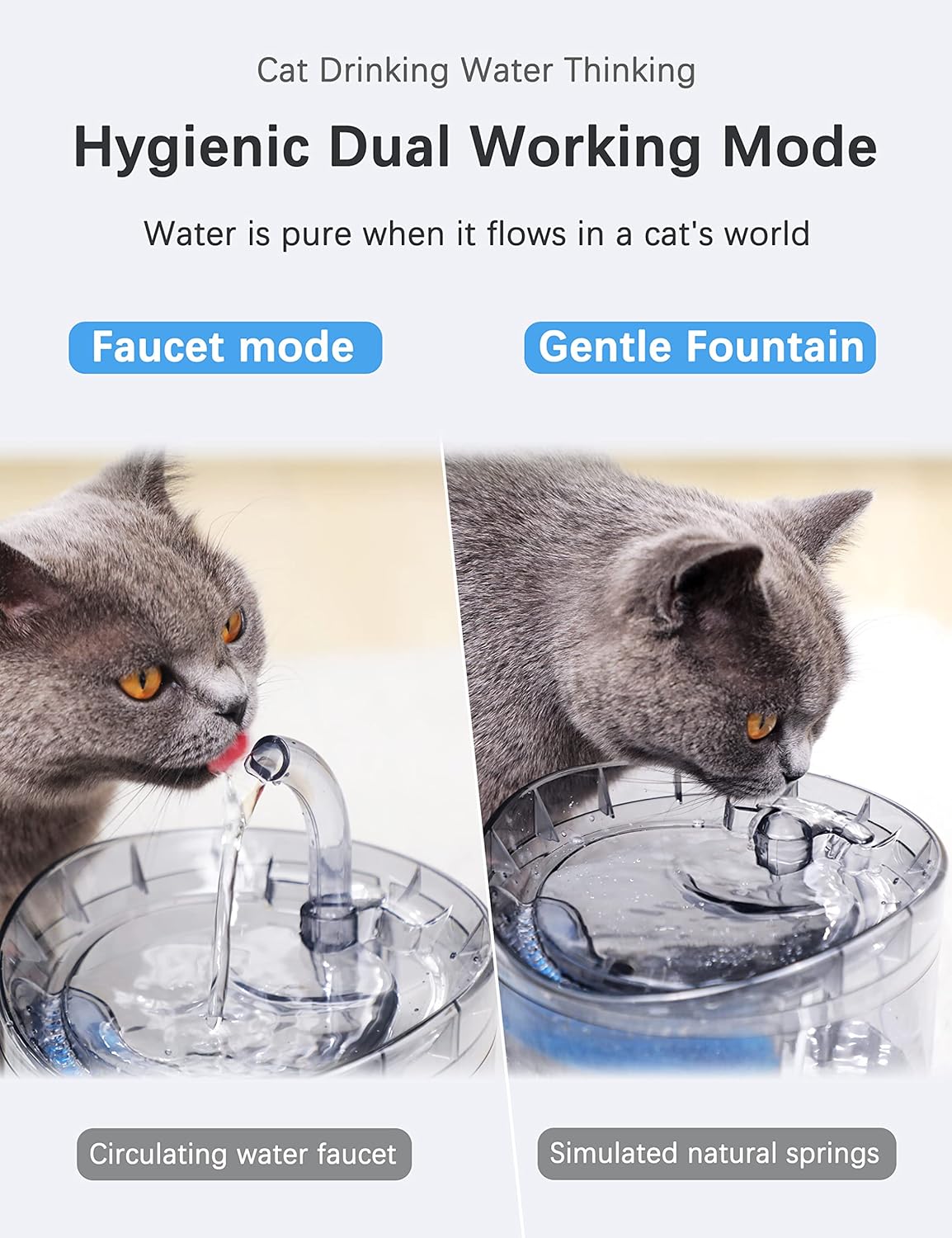 Cat Bowls, Feeders & Waterers: Cat Dog Water Fountain Pet Water Dispenser 1.8L Automatic Drinking Fountain for Cats Kitty Indoor