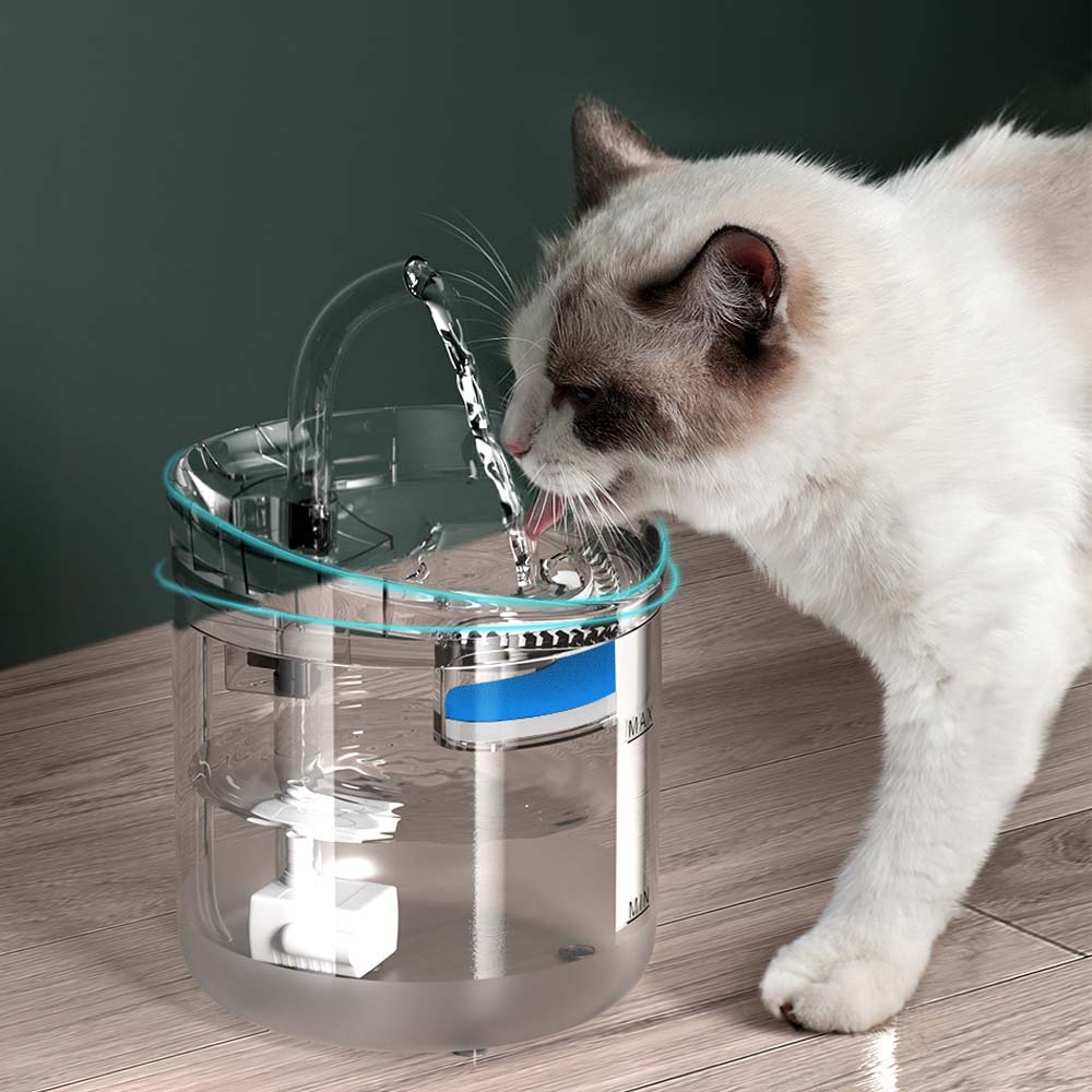 Cat Bowls, Feeders & Waterers: Cat Dog Water Fountain Pet Water Dispenser 1.8L Automatic Drinking Fountain for Cats Kitty Indoor