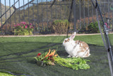 Cat Scratching Posts: Outdoor Cat Enclosures  Indoor Cats Portable Tent, Cat Tunnel, Playhouse Play Tents Small Animals