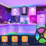 Fountain & Ponds Accessories: 5050 RGB LED Strip Lights Waterproof SMD 300 IP65 5m 12V 44key IR Controller