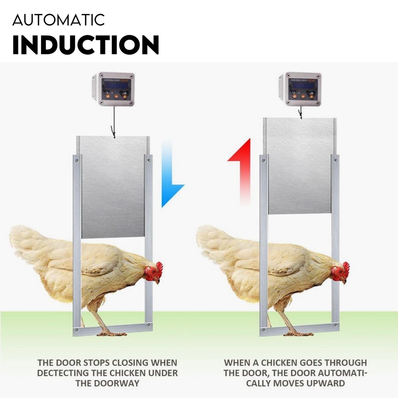 Automatic Chicken Coop Door Opener Cage Closer Timer and Light Sensor