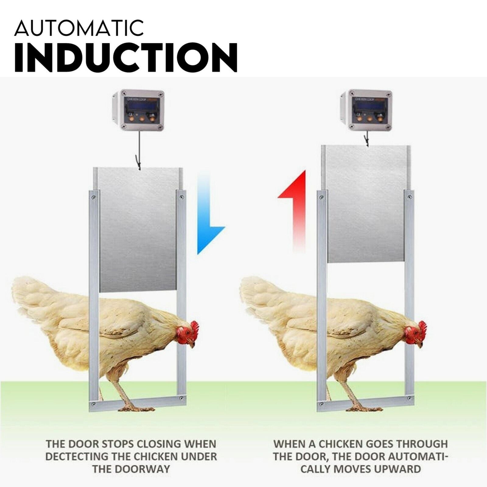 Coop & Hutch Accessories: Chicken Coop Door with Digital LCD Screen to manage Timer and Sensor
