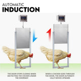 Coop & Hutch Accessories: Chicken Coop Door with Digital LCD Screen to manage Timer and Sensor
