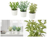 3 Pack of Artificial Herb Potted Plants in White Plastic 5cm Pot Interior Decoration