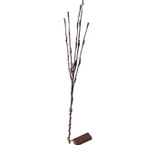 Outdoor Decorations & Lights: LED Light Bunch Stem - Warm White BATTERY fairy lights - 50cm high 20 bulbs/petals