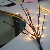 Outdoor Decorations & Lights: LED Light Bunch Stem - Warm White BATTERY fairy lights - 50cm high 20 bulbs/petals