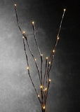 Outdoor Decorations & Lights: LED Light Bunch Stem - Warm White BATTERY fairy lights - 50cm high 20 bulbs/petals