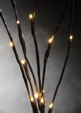 Outdoor Decorations & Lights: LED Light Bunch Stem - Warm White BATTERY fairy lights - 50cm high 20 bulbs/petals