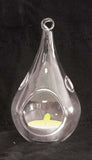 Christmas Decorations: 4 Pack of Hanging Clear Glass Tealight Candle Holder Tear Drop Pear Shape - 12cm High - Terrarium Plant Mini Garden Holder Decor