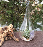 Christmas Decorations: 4 Pack of Hanging Clear Glass Tealight Candle Holder Tear Drop Pear Shape - 12cm High - Terrarium Plant Mini Garden Holder Decor