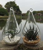 Christmas Decorations: 4 Pack of Hanging Clear Glass Tealight Candle Holder Tear Drop Pear Shape - 12cm High - Terrarium Plant Mini Garden Holder Decor