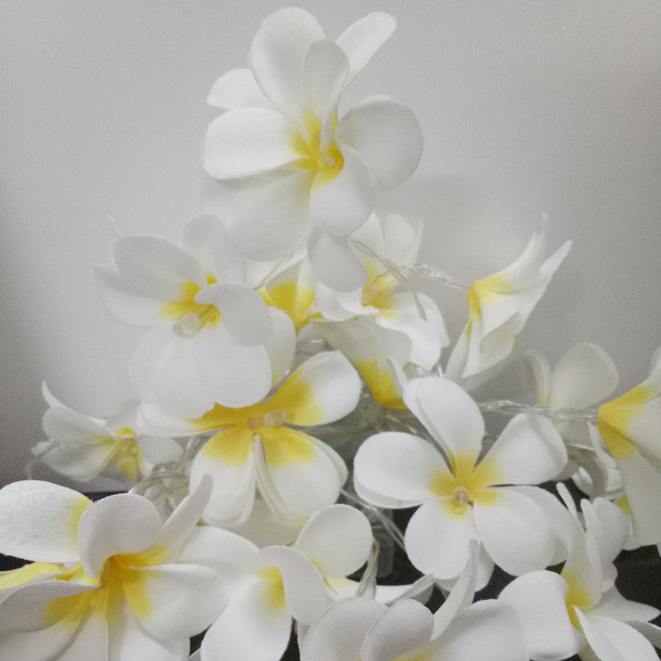 Outdoor Decorations & Lights: 1 Set of 20 LED White Frangipani Flower Battery String Lights Christmas Gift Home Wedding Beach Party Decoration Outdoor Table Centrepiece