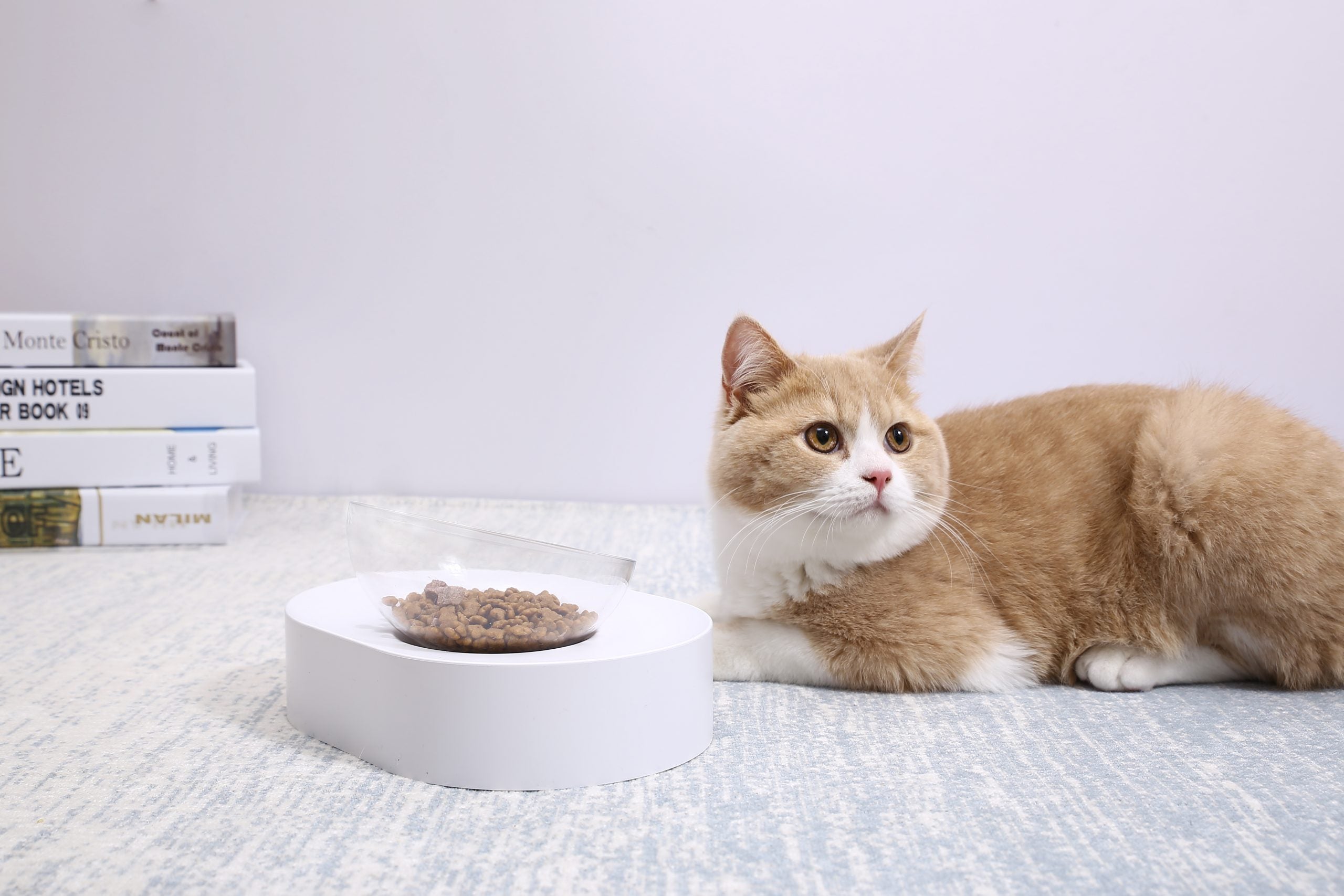 Dog Bowls, Feeders & Waterers: PETKIT Fresh Nano-15 Adjustable Cat Feeding Bowl -Single