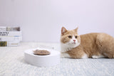 Dog Bowls, Feeders & Waterers: PETKIT Fresh Nano-15 Adjustable Cat Feeding Bowl -Single