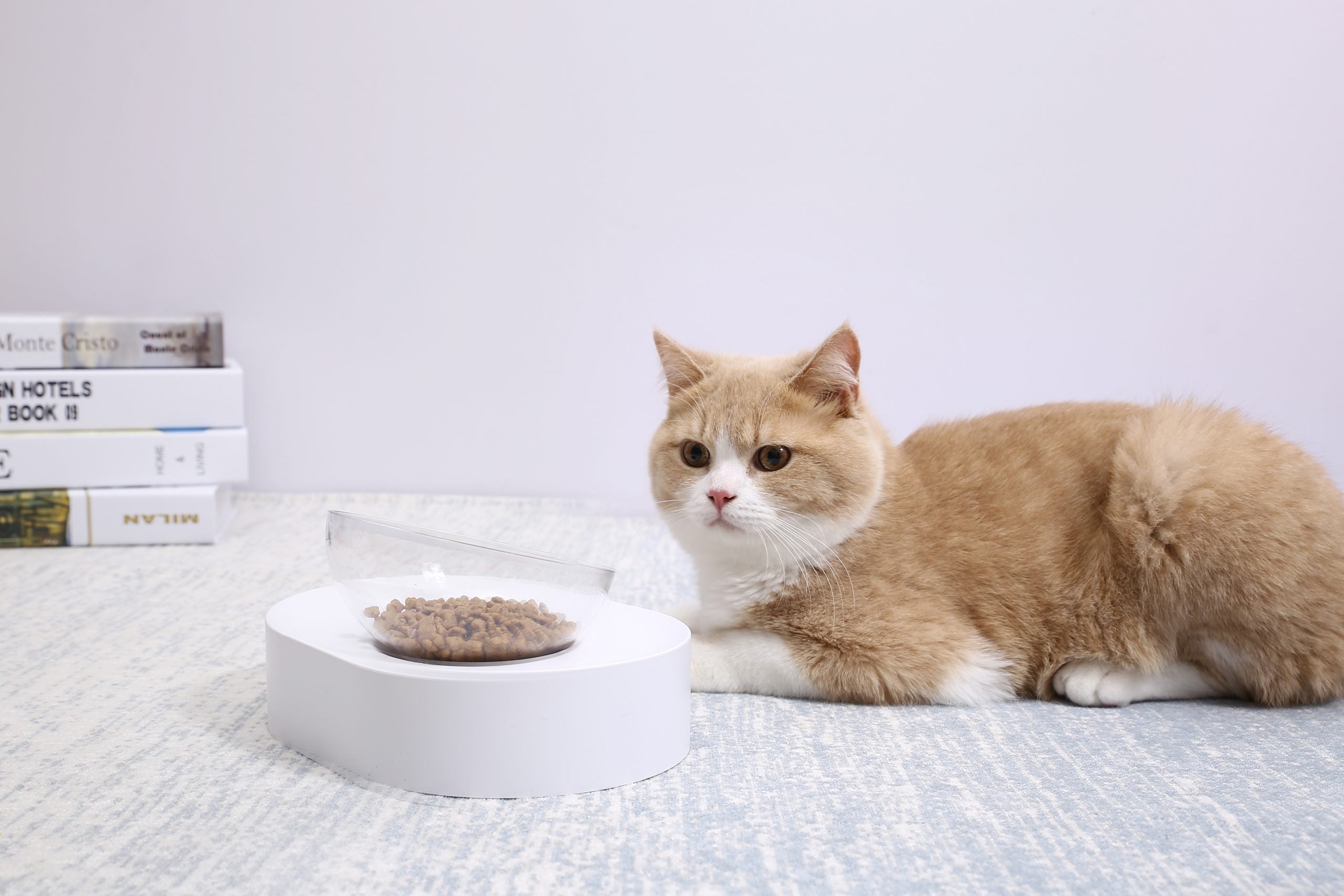 Dog Bowls, Feeders & Waterers: PETKIT Fresh Nano-15 Adjustable Cat Feeding Bowl -Single
