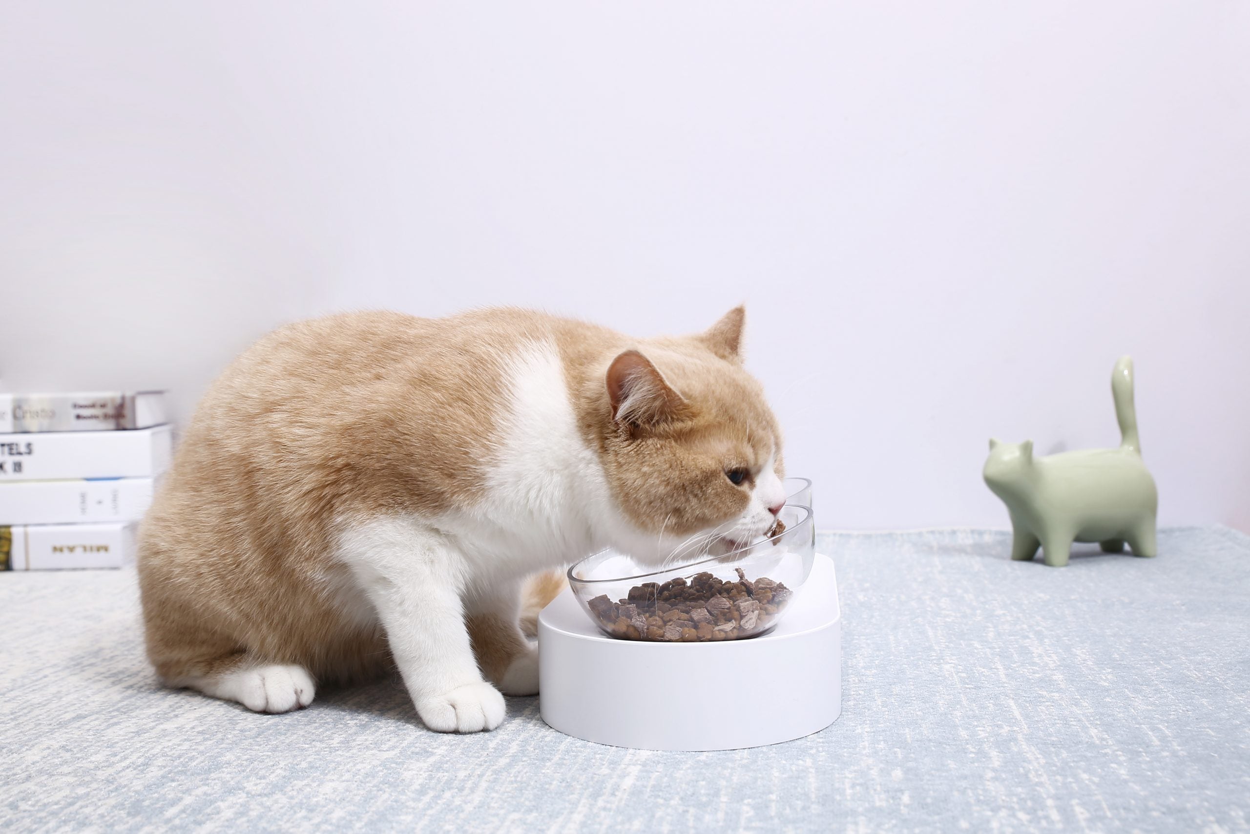 Dog Bowls, Feeders & Waterers: PETKIT Fresh Nano-15 Adjustable Cat Feeding Bowl -Single