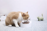 Dog Bowls, Feeders & Waterers: PETKIT Fresh Nano-15 Adjustable Cat Feeding Bowl -Single