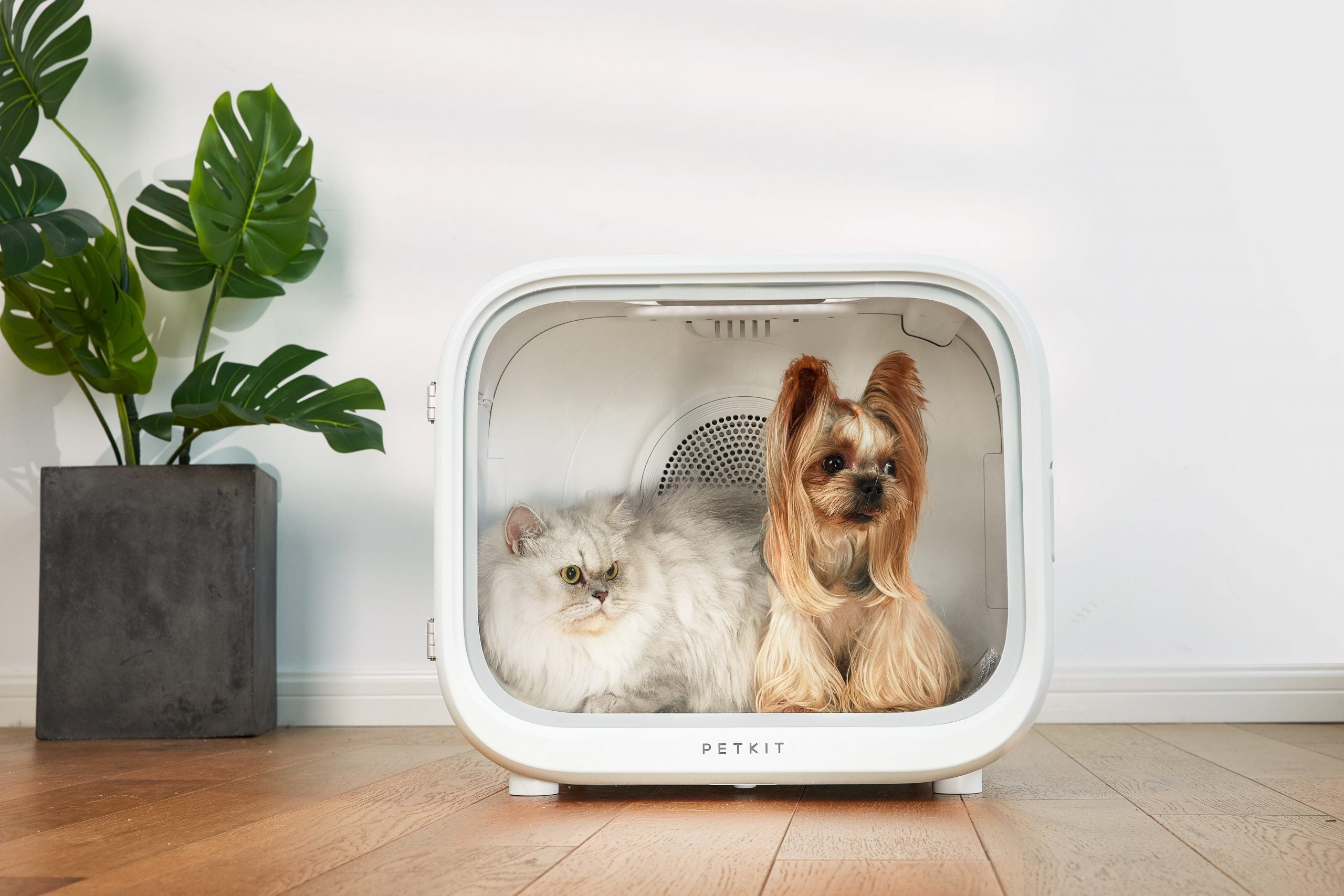 Pet Grooming Supplies: PETKIT AIRSALON Smart Pet Dryer Box