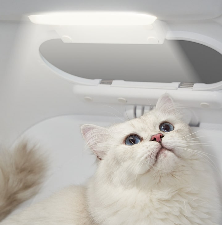 Pet Grooming Supplies: PETKIT AIRSALON Smart Pet Dryer Box