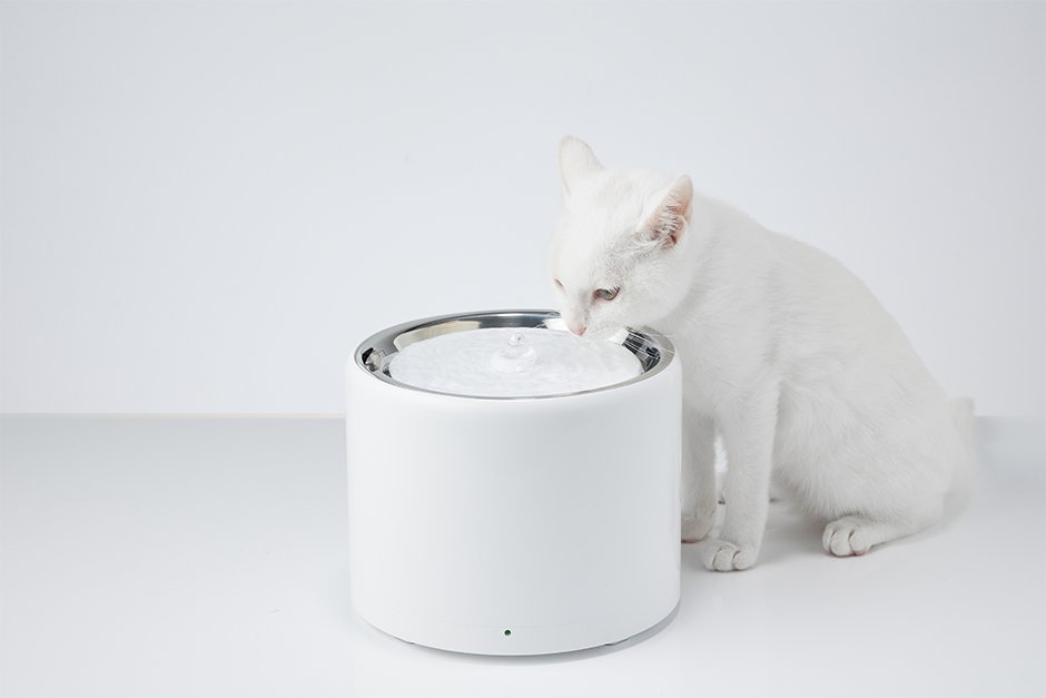 Cat Bowls, Feeders & Waterers: PETKIT Eversweet 3 Pro- Wireless Smart Drinking Fountain- 1.8L