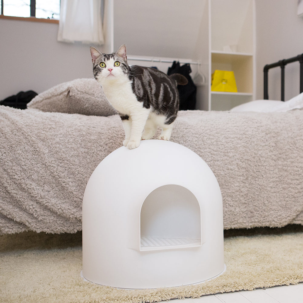 Pet Cleaning Supplies: PIDAN Igloo Cat Litter Box - White