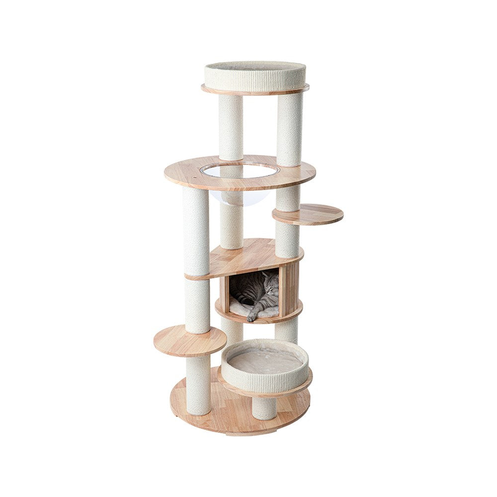 Cat Furniture: HONEYPOTCAT MZ Varnished Solid Wood Cat Tower With Capsule - 163cm