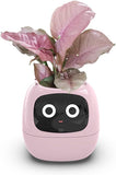 Pots, Planters & Accessories: Intelligent Flower Pot, Electronic Bud, Maintenance Plant Assistant, Fun Interactive Flower Pot, Indoor Green Planting Monitoring, LCD Screen Display, Cell Phone APP Connection (Pink)