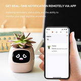 Pots, Planters & Accessories: Intelligent Flower Pot, Electronic Bud, Maintenance Plant Assistant, Fun Interactive Flower Pot, Indoor Green Planting Monitoring, LCD Screen Display, Cell Phone APP Connection (Pink)