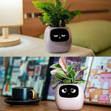 Pots, Planters & Accessories: Intelligent Flower Pot, Electronic Bud, Maintenance Plant Assistant, Fun Interactive Flower Pot, Indoor Green Planting Monitoring, LCD Screen Display, Cell Phone APP Connection (Pink)