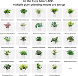 Pots, Planters & Accessories: Intelligent Flower Pot, Electronic Bud, Maintenance Plant Assistant, Fun Interactive Flower Pot, Indoor Green Planting Monitoring, LCD Screen Display, Cell Phone APP Connection (Pink)