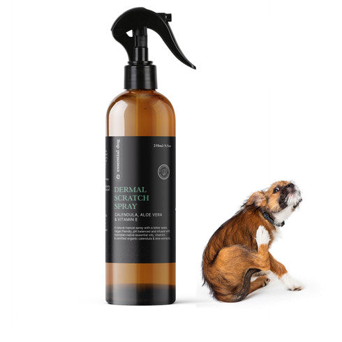 Lotions & Moisturisers: Natural Anti Itch Scratch Spray for Dogs (Aloe, Tea Tree and Vitamin E)