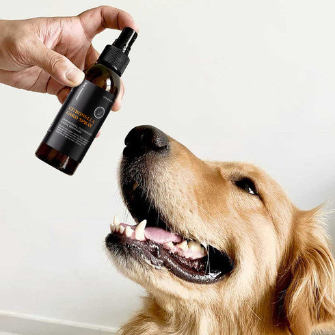 Household Insect Repellents: Citronella Gard Spray Insect Deterrant for Dogs