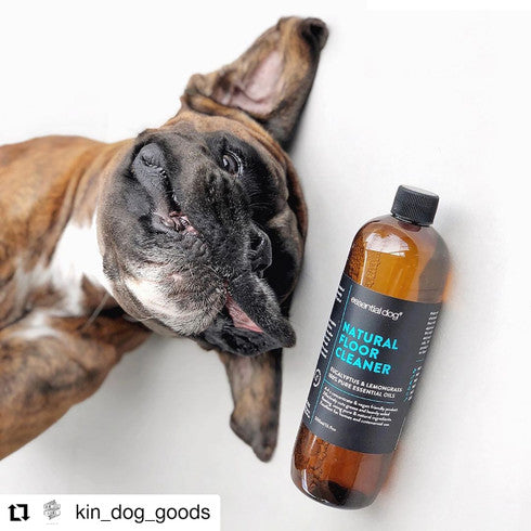 Pet Grooming Supplies: Essential Dog 500ml Natural Floor Cleaner (Eucalyptus and Lemongrass)