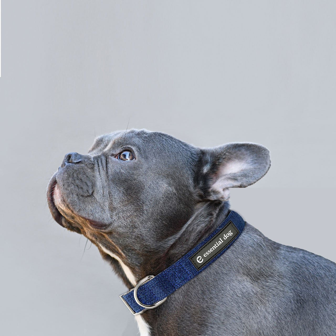 Women's Tops & T-shirts: Natural Hemp & Cotton Dog Collar (Ink Blue)