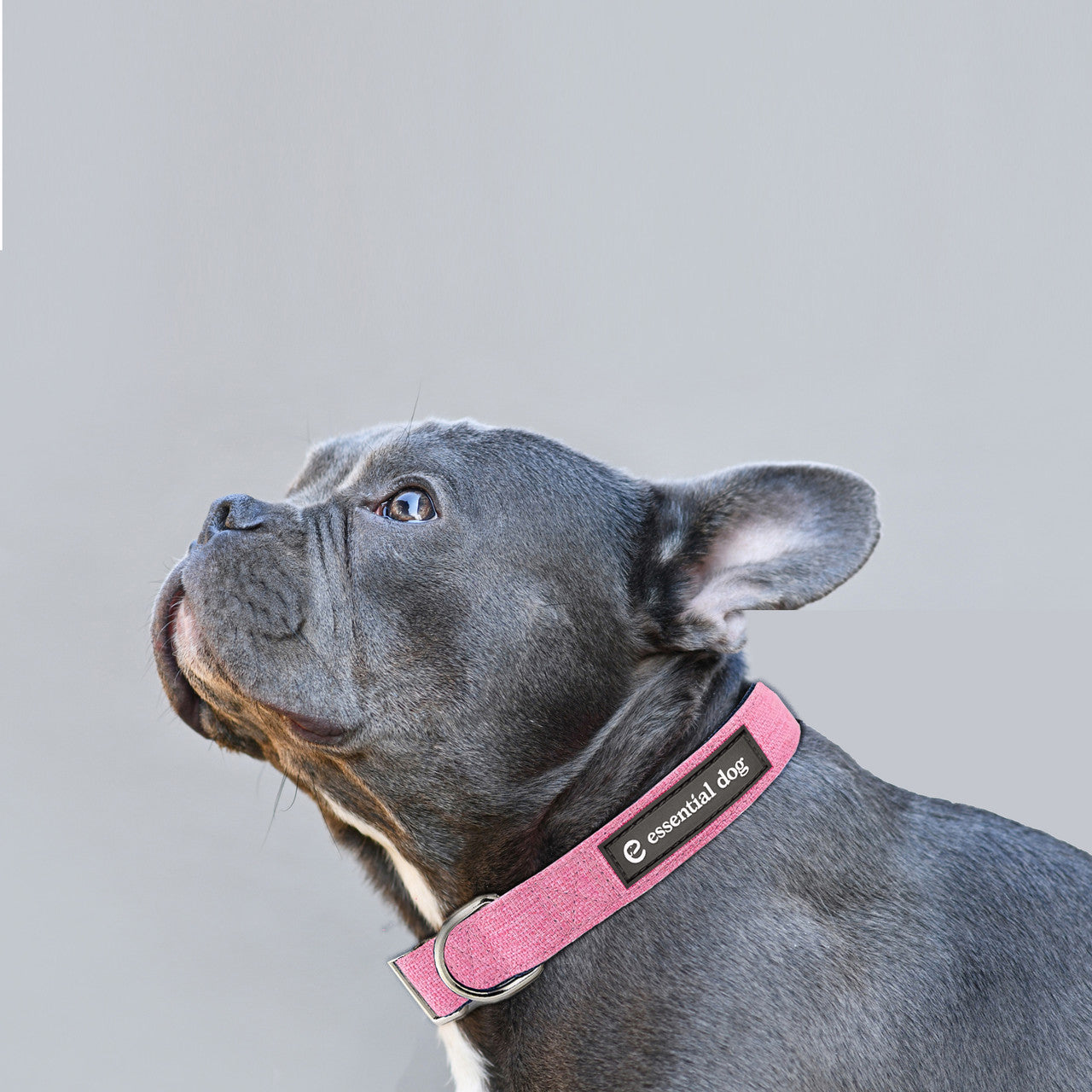Pet ID Tags: Natural Hemp & Cotton Dog Collar (Pretty Pink) EXTRA SMALL