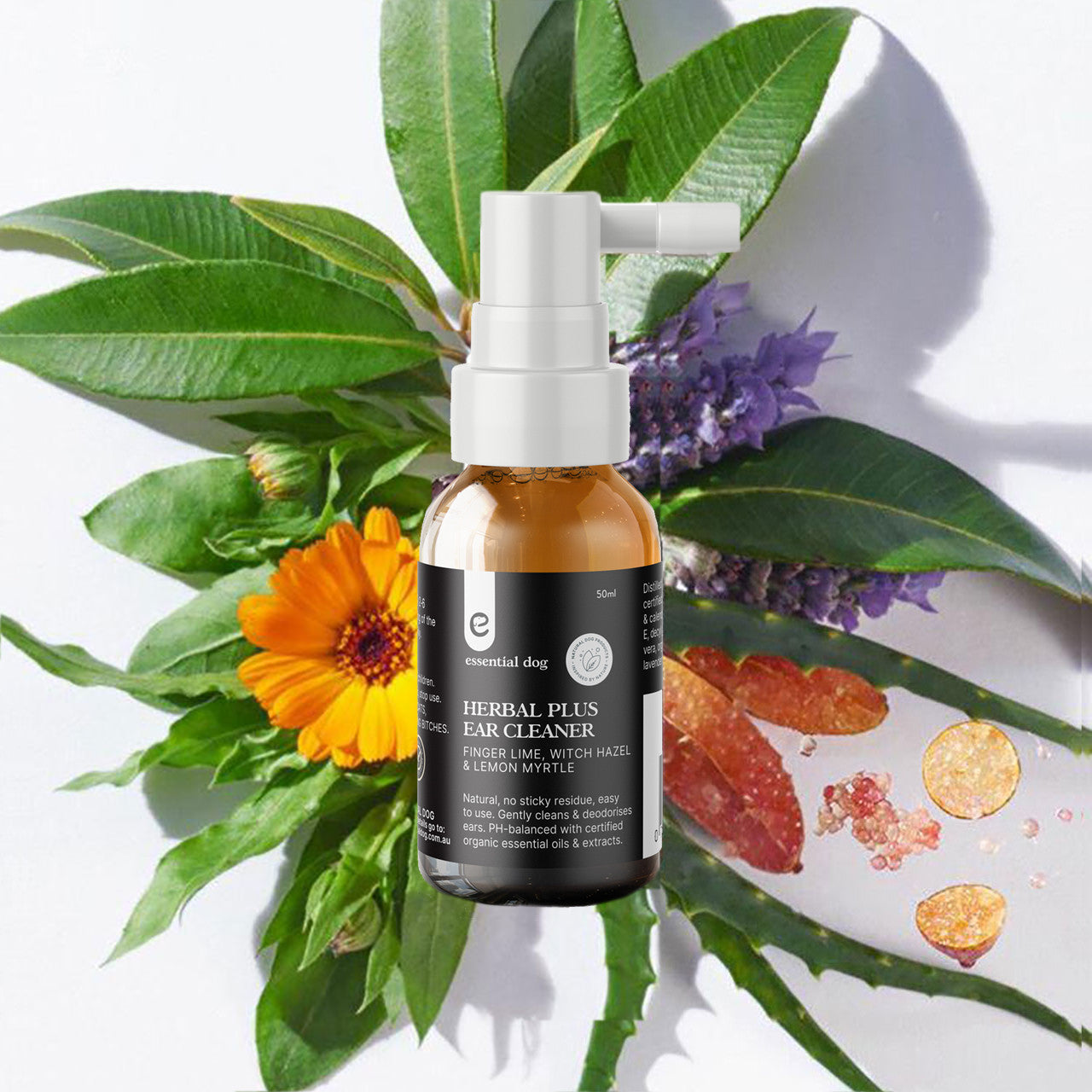 Massage Oils: Herbal Plus Dog Ear Cleaner (Witch Hazel, Aloe & Lemon Myrtle)