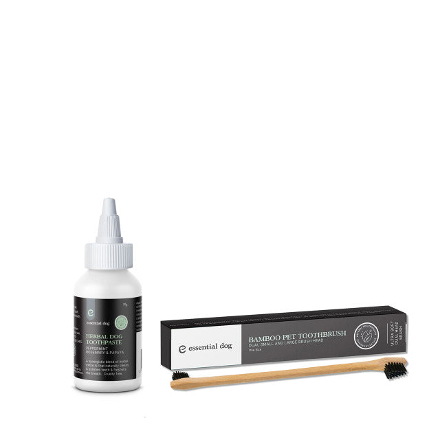 Pet Grooming Supplies: Bamboo Pet Dog Dental Kit: Toothpaste + Toothbrush