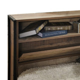 Queen Size Storage Bed Farme in Oak Colour with Particle Board Contraction and Metal Legs