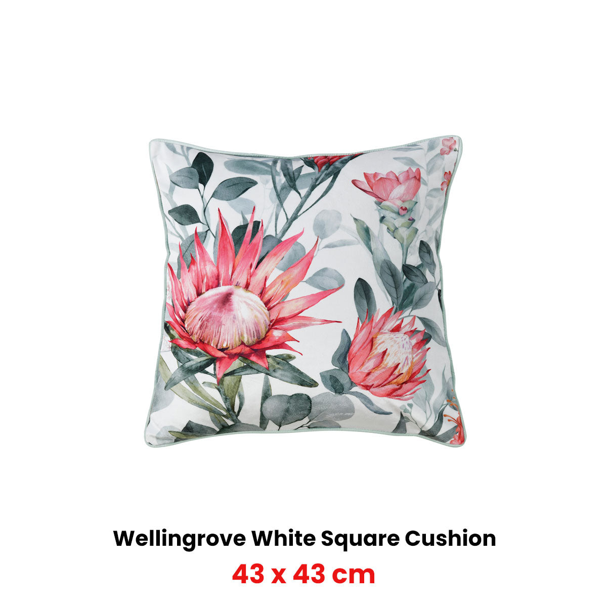 Cushions & Throws: Bianca Wellingrove White Velvet Square Filled Cushion 43 x 43cm