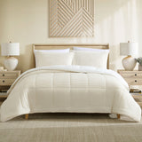 Quilts & Duvets: Ardor Avalon Cream 3 Pcs Velvet Comforter Set with Sherpa Reverse Queen/King