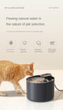 Cat Bowls, Feeders & Waterers: JY Pet Automatic Cat Water Dispenser Fountain  3L - White