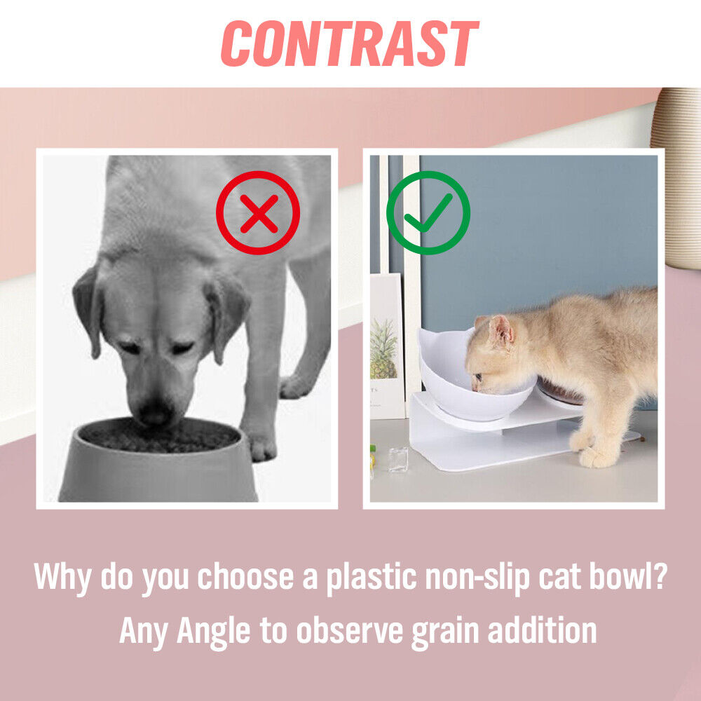 Dog Bowls, Feeders & Waterers: Black Double Cat Bowl Pet Bowl Stand Dog Elevated Feeder Food Water Raised Lifted